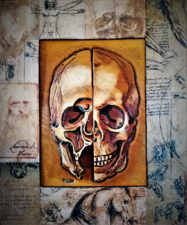 Tête de mort d&#039;après De Vinci