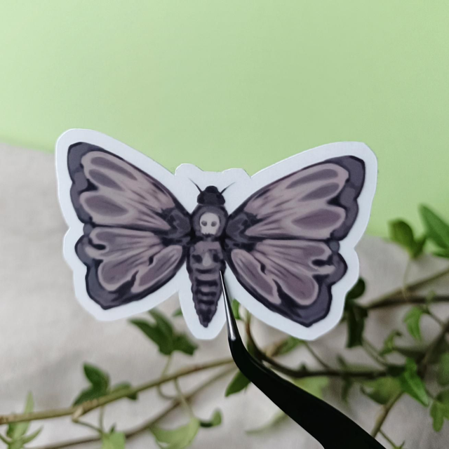 skull moth - vinyl sticker