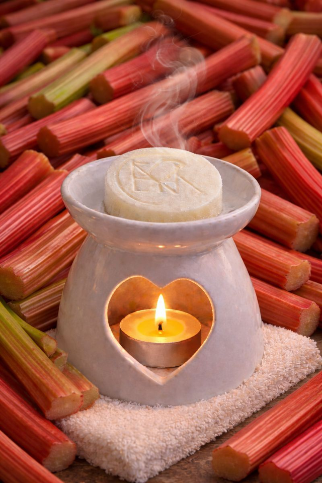 RHUBARBE GALET FONDANT 15g