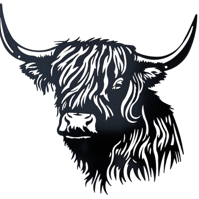 Highland Cow