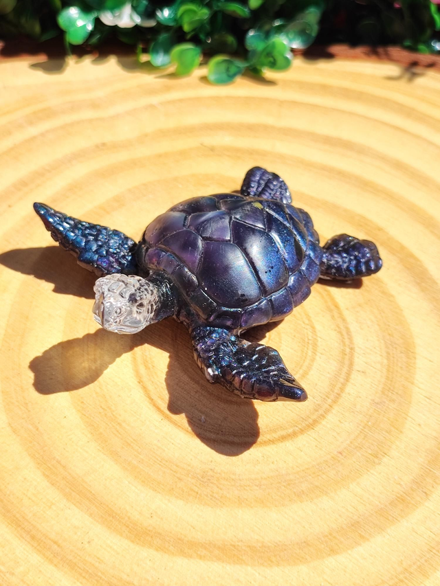 Tortue de mer