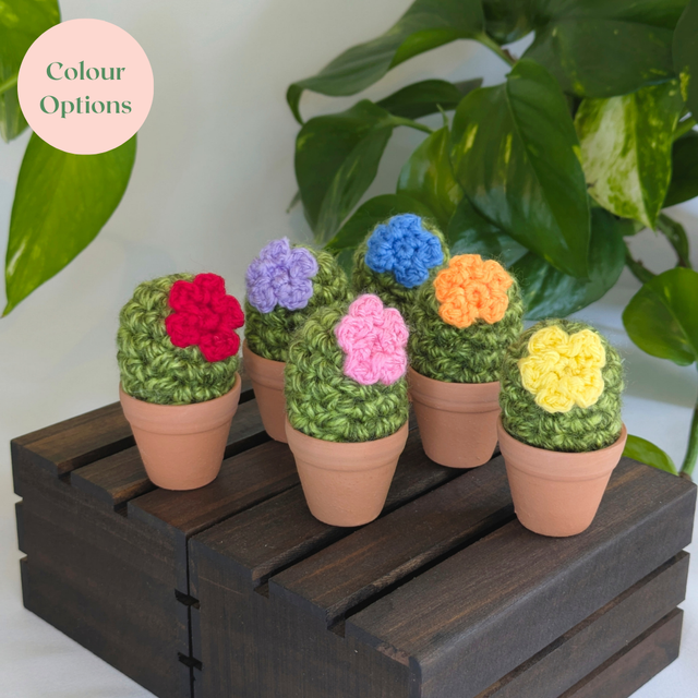 Mini Flower Crochet Cactus 