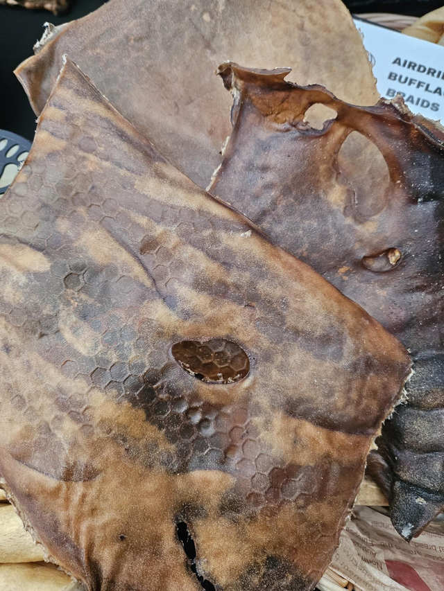 Goat Plate _ Air Dried 