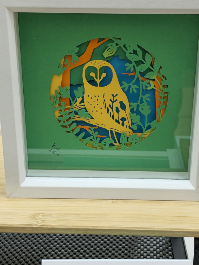 Owl Cut Collage Box "Framed"
