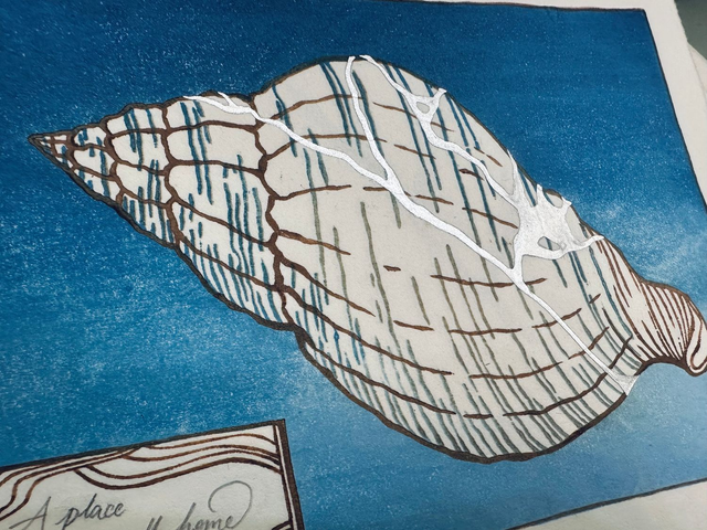 Kintsugi - A Place to Call Home (Limited edition)