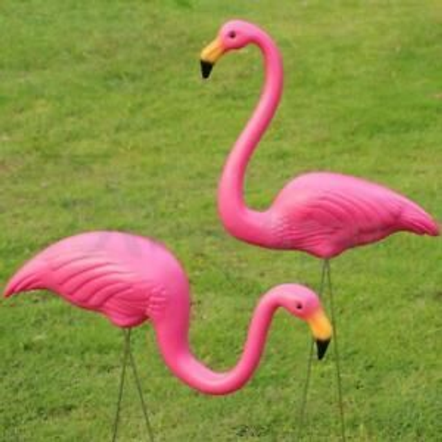 40 Flamingos
