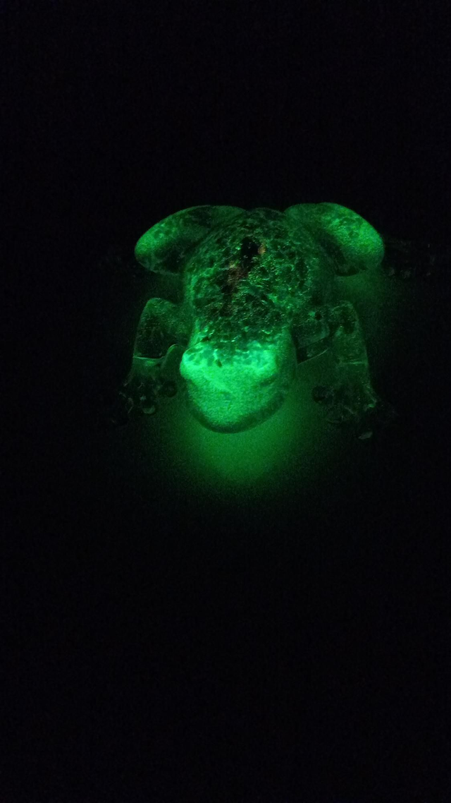 Grenouille luminescente