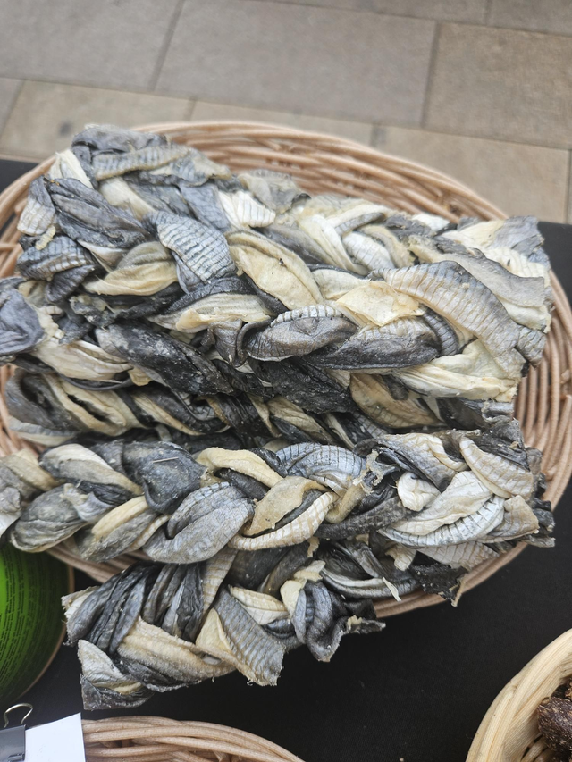 Fish braided plait x long