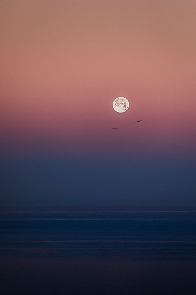 Océan - coucher de lune