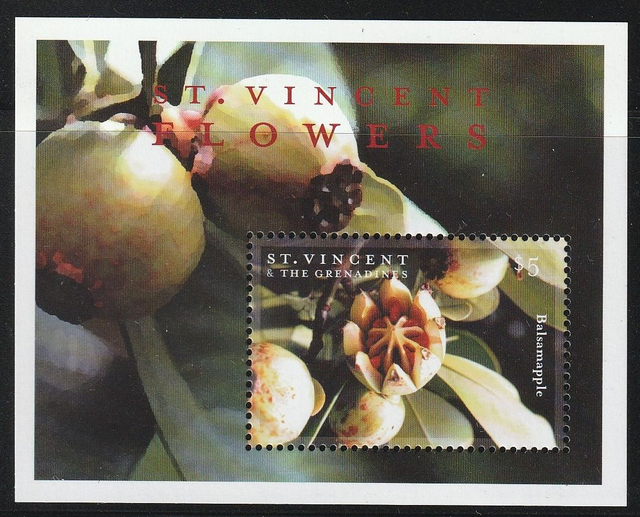 St.Vincent &amp; Grenadines 2000 Flowers Minisheet MNH
