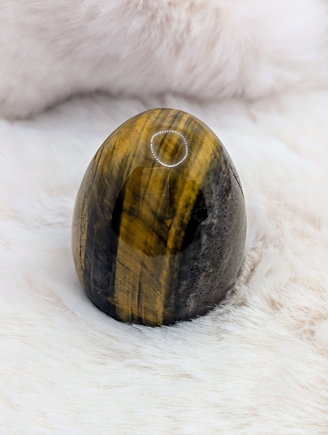 Œuf en Œil de Tigre Naturel