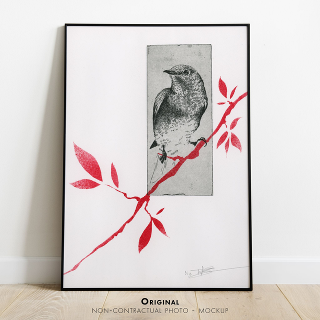 Fine art etching / Not framed / Eastern Bluebird