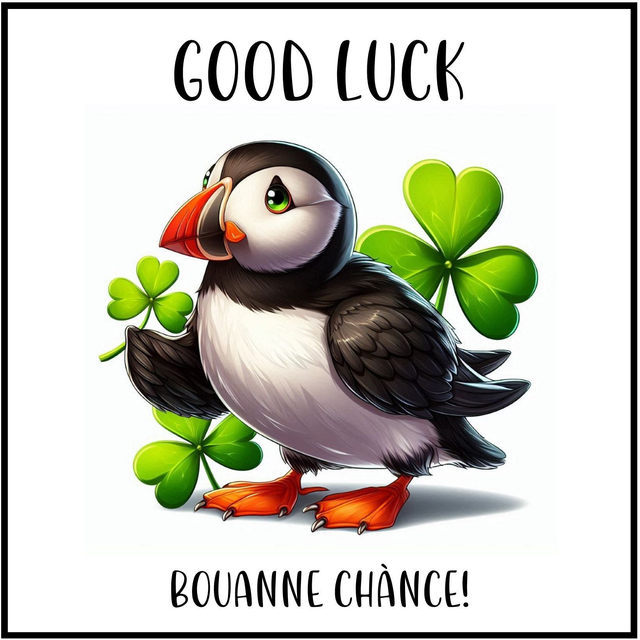 100 CARD - OCCASION GOOD LUCK PUFFIN SHAMROCK