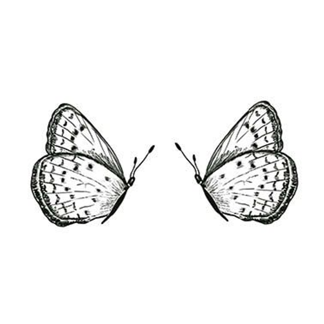 Stempel Falter Erika & Erik 3x3cm in 2 Richtungen