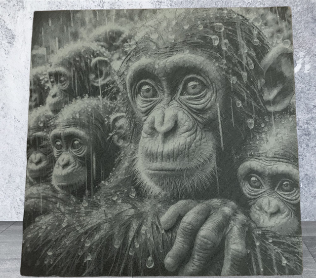 Slate Coaster - Chimps in the Rain