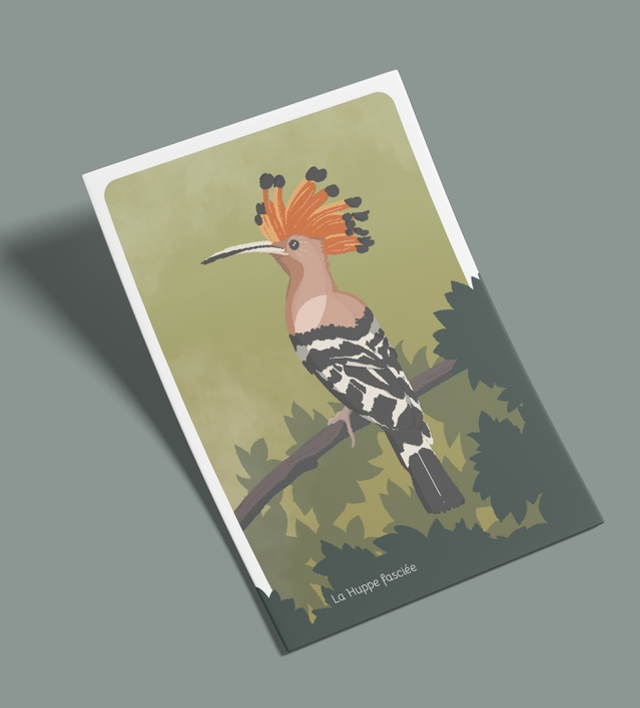 Cartes postales "les zozios" (lot de 5)