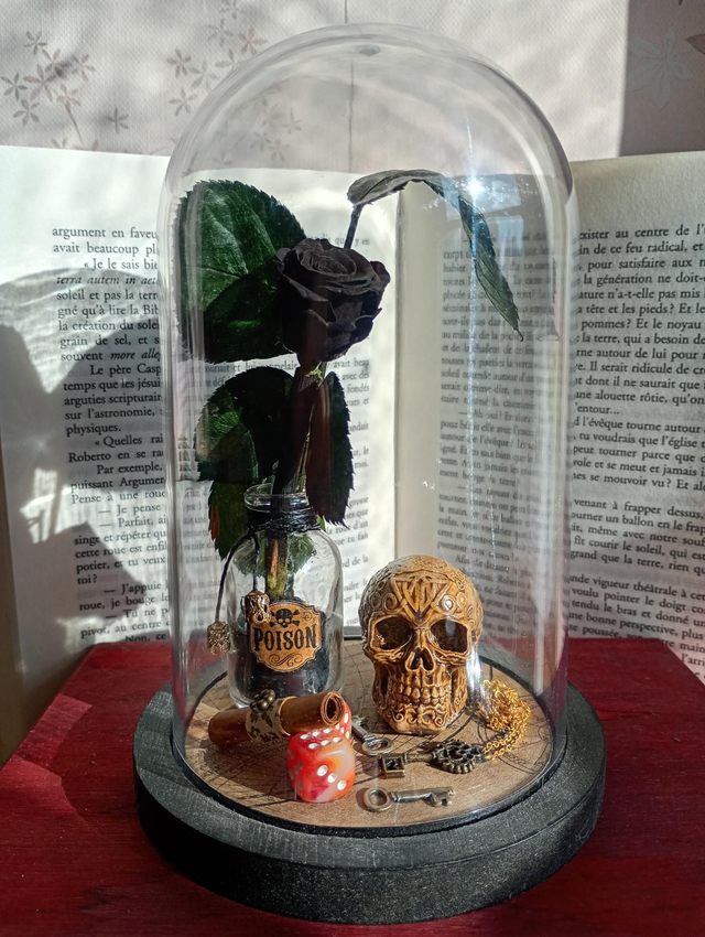 D02 Pirate fleur noire