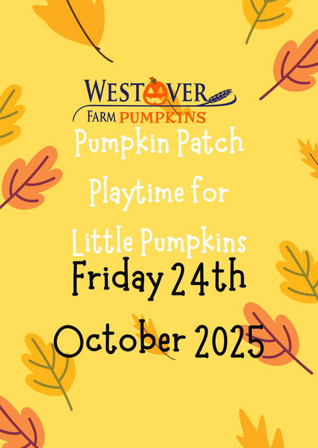 24th October Pumpkin Patch Playtime for Little Pumpkins