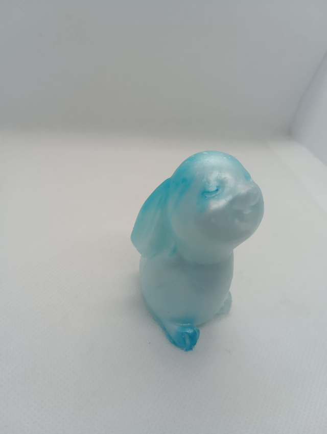 Lapin longue oreille 