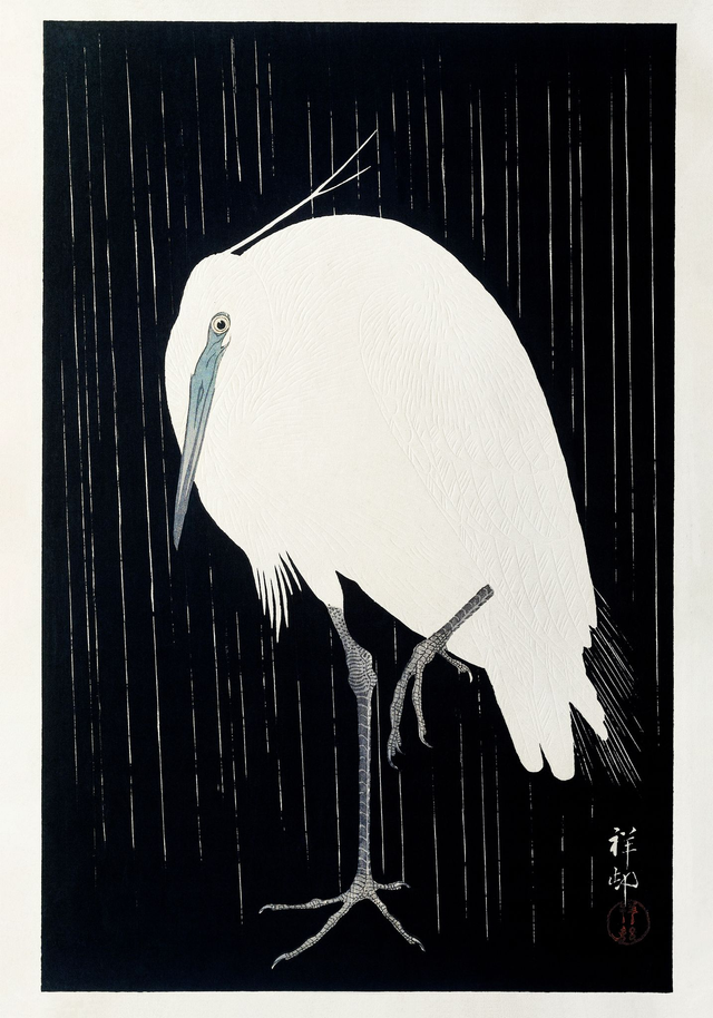 White Heron Dark Snow