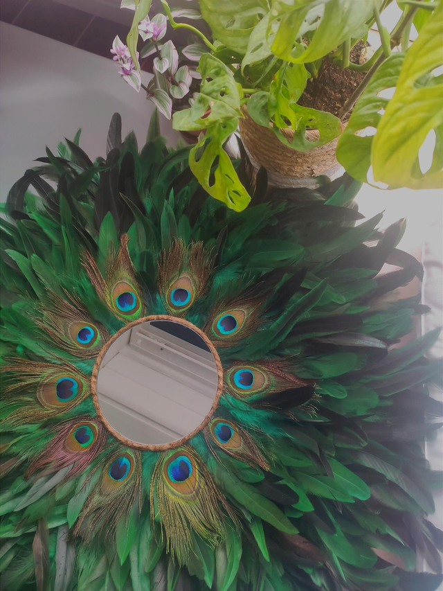 Jujuhat Plumes de paon et Plumes de coq