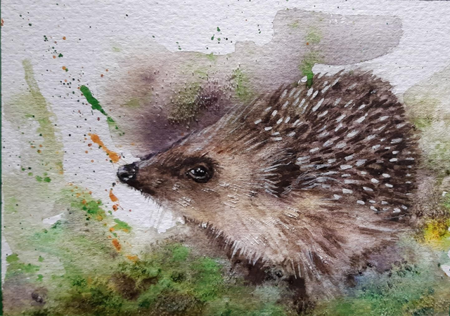 Hedgie in watercolour 