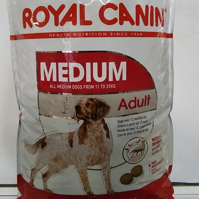 medium adult 15kg