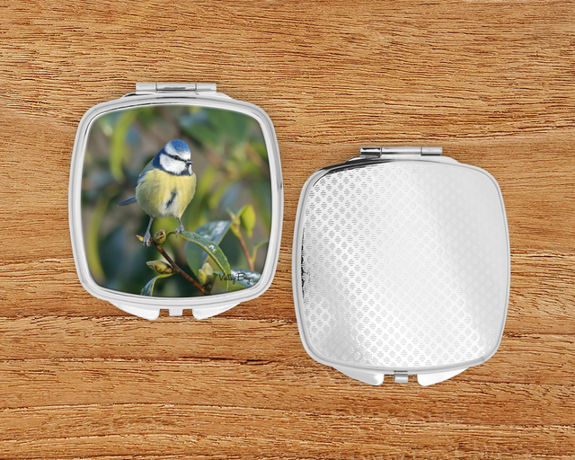 "Beautiful Blue tit" Compact Mirror  