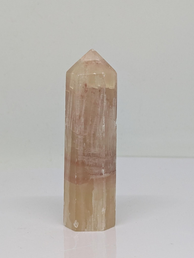  237 Pork Stone Jaspe Dali  108gr