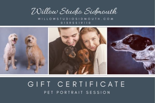 Pet Portrait : include pet portrait session, preview session and online gallery for viewing.