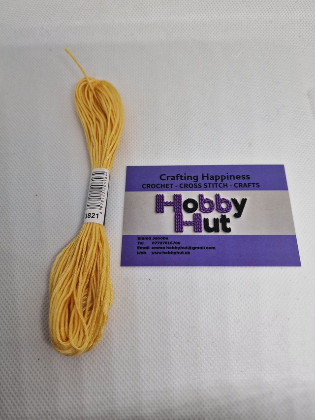 Embroidery Thread - 3821