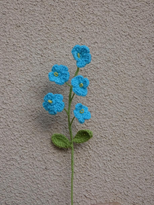 Tige de myosotis bleue ciel