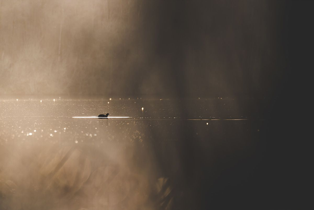 Un soir le ciel s'est paré d'or