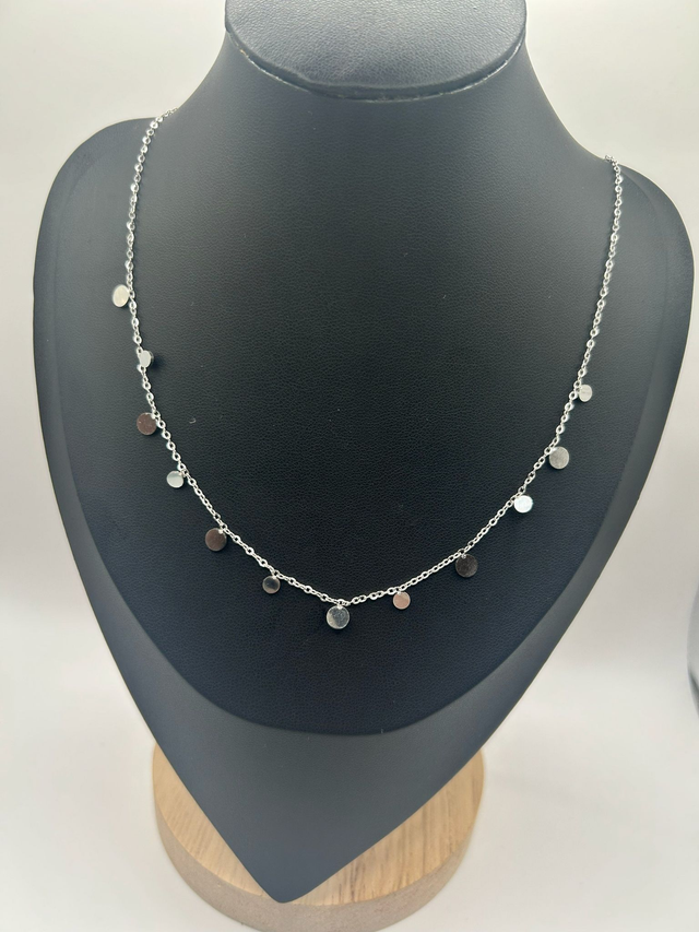 Stainless Steel Necklace (SSN66J)