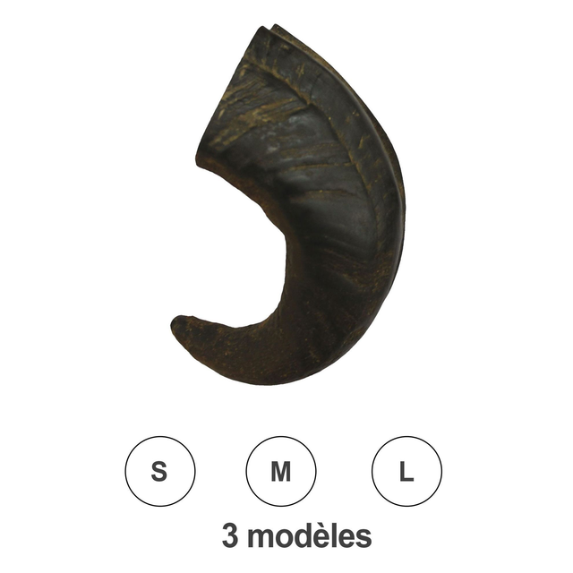 Cornes de buffle Taille M