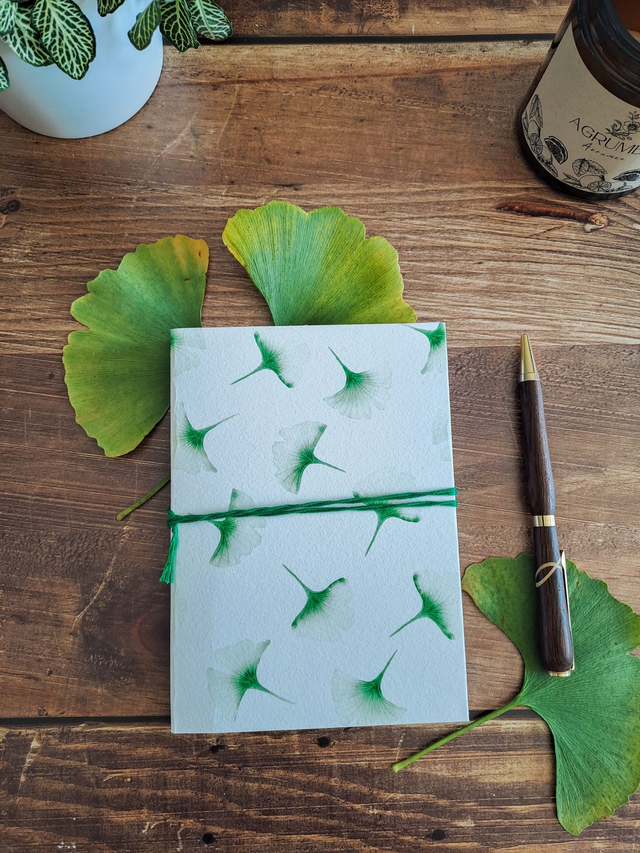 Compagnon Ginkgo vert petit modèle
