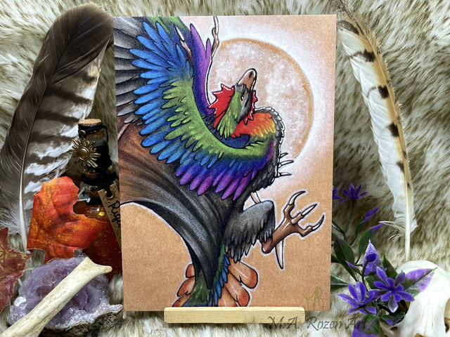 Cockatrix resplendissante 13X18cm