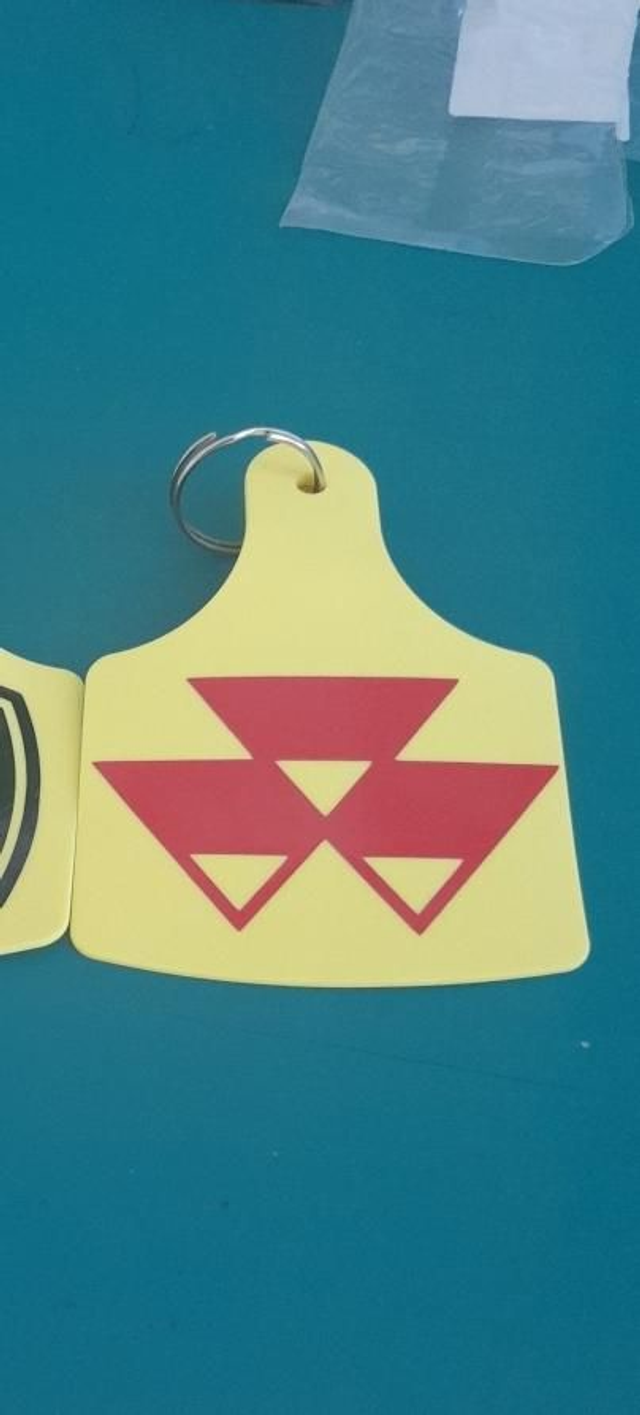 Massey ferguson key ring