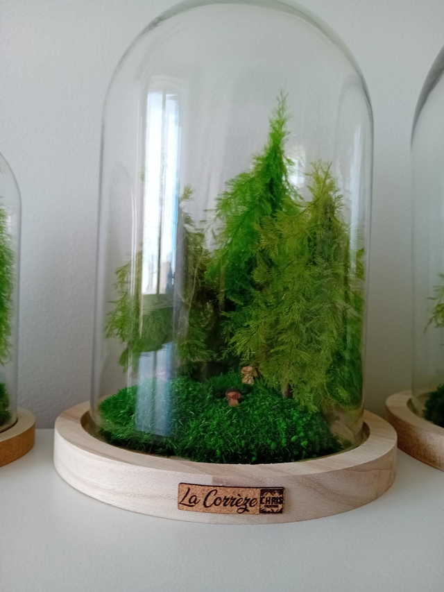 Cloche La Corrèze 28cm