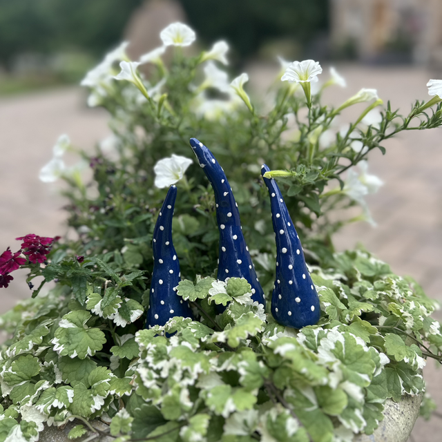 3er-Set kleine Zipfel blau/türkis