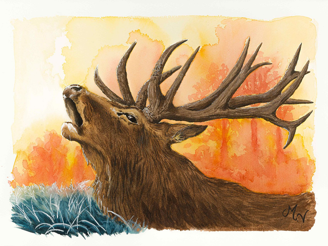 " Chant du Roi " - tirage d'art A3