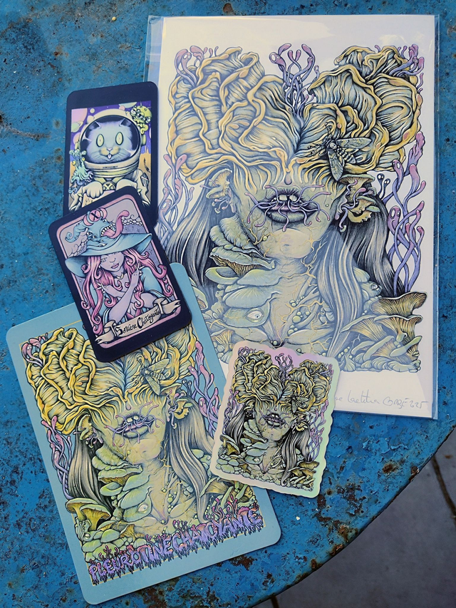 Lot de X-Cards en prévente