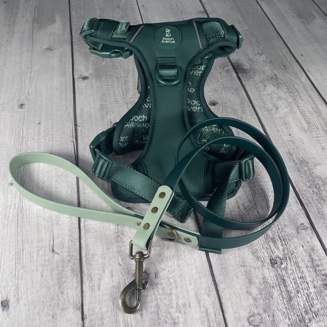 Forest Green & Sage Green Waterproof BioThane® Lead