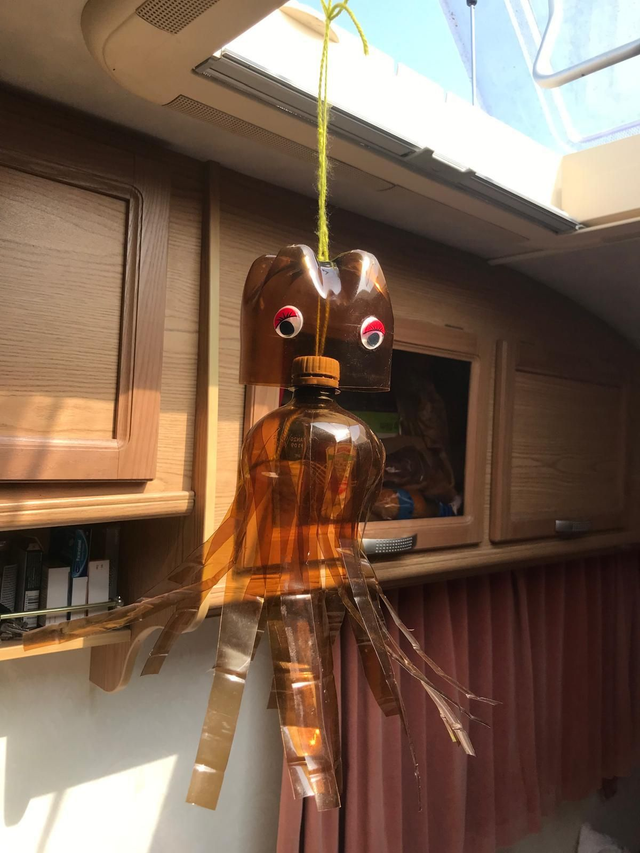 22nd August Plastic Bottle Octopuses