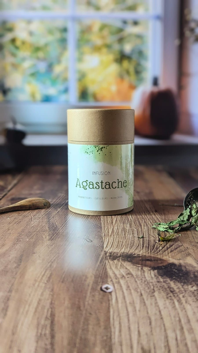 Tisane Agastache