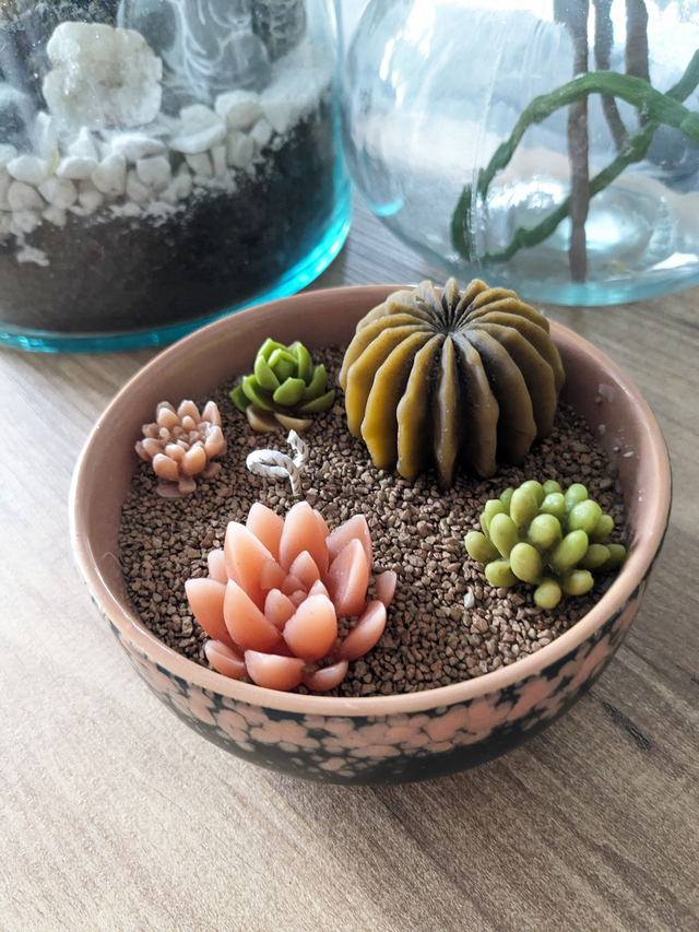 Terrarium couleur brique 