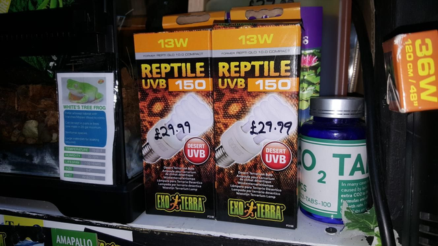 UVB E27 bulb dessert 