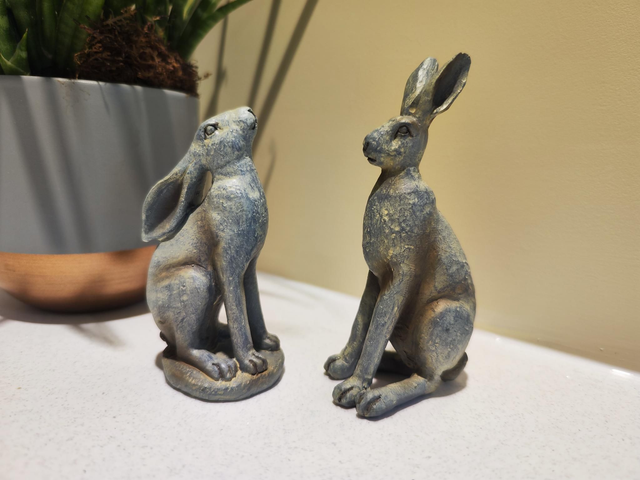 Small Grey Hares