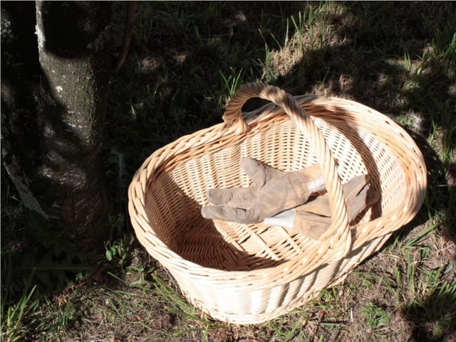 18 et 19/04/2026 - Stage de vannerie "Le panier crocane (oval)" - de 9h00 à 17h00