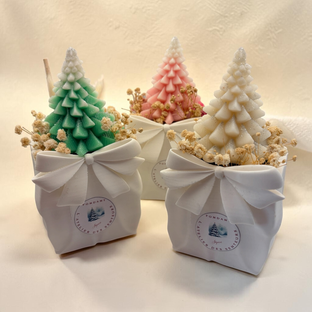 Maxi fondant Sapin en pot